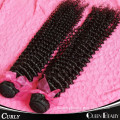 indian tight curly hair,5a 100% virgin indian hair,high quality indian remy hair extensions